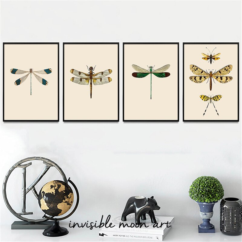 Photography History - Vintage Dragonfly Natural History Art Canvas