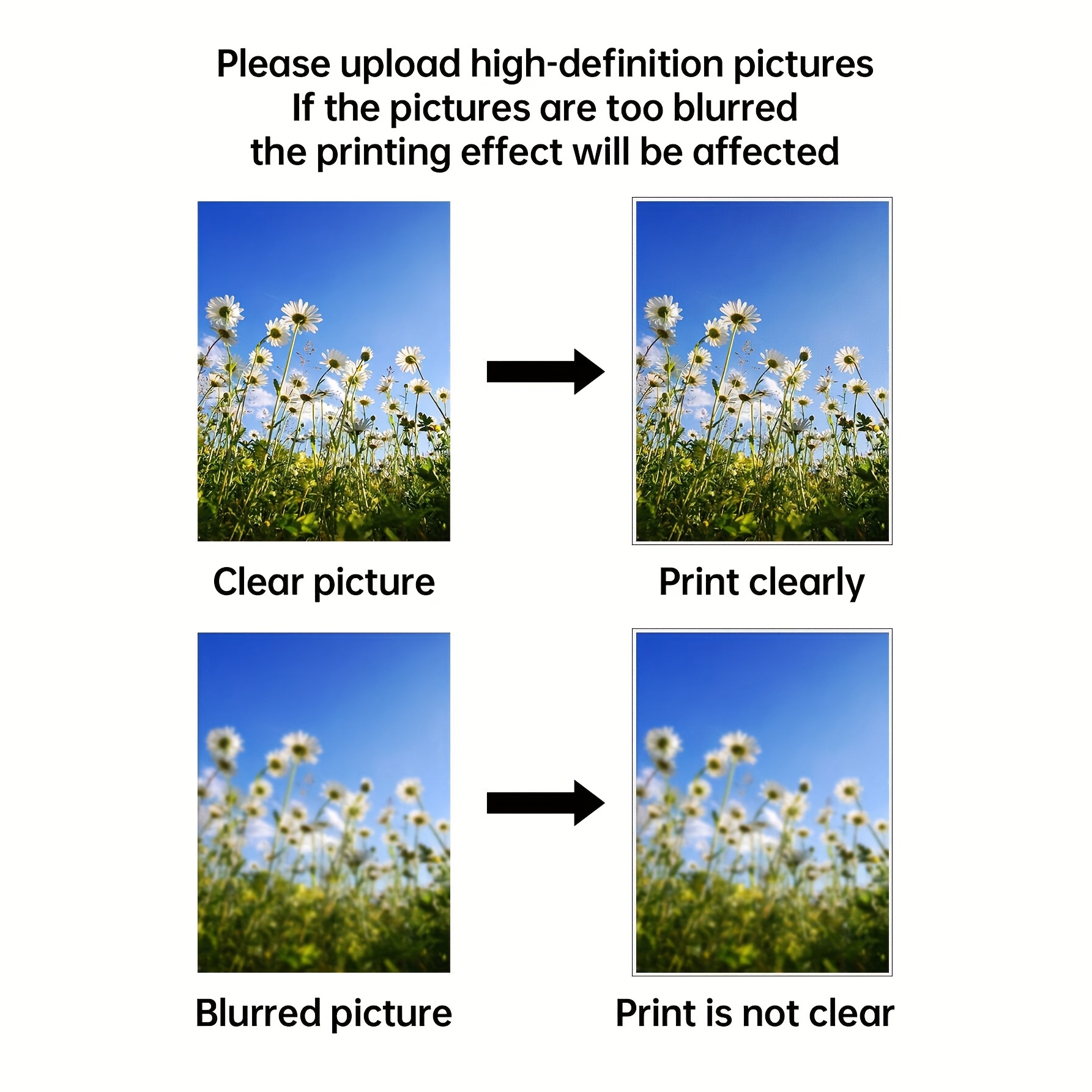 Custom Canvas Prints Photo Wal - Photography Life のレビューと価格