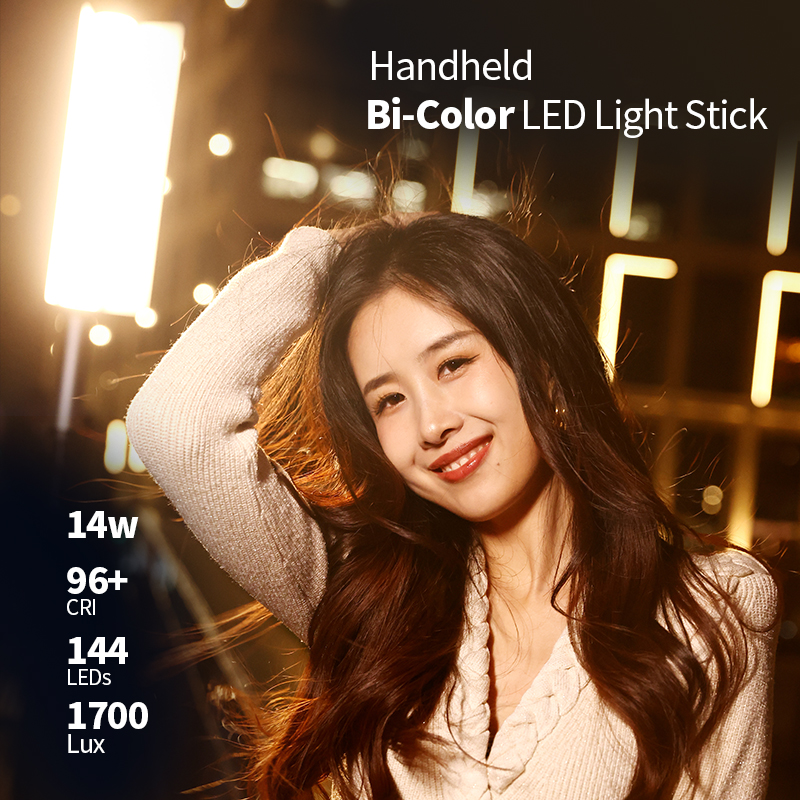 JINBEI EFT-220BI Handheld Port - Photography Studio のレビューと価格
