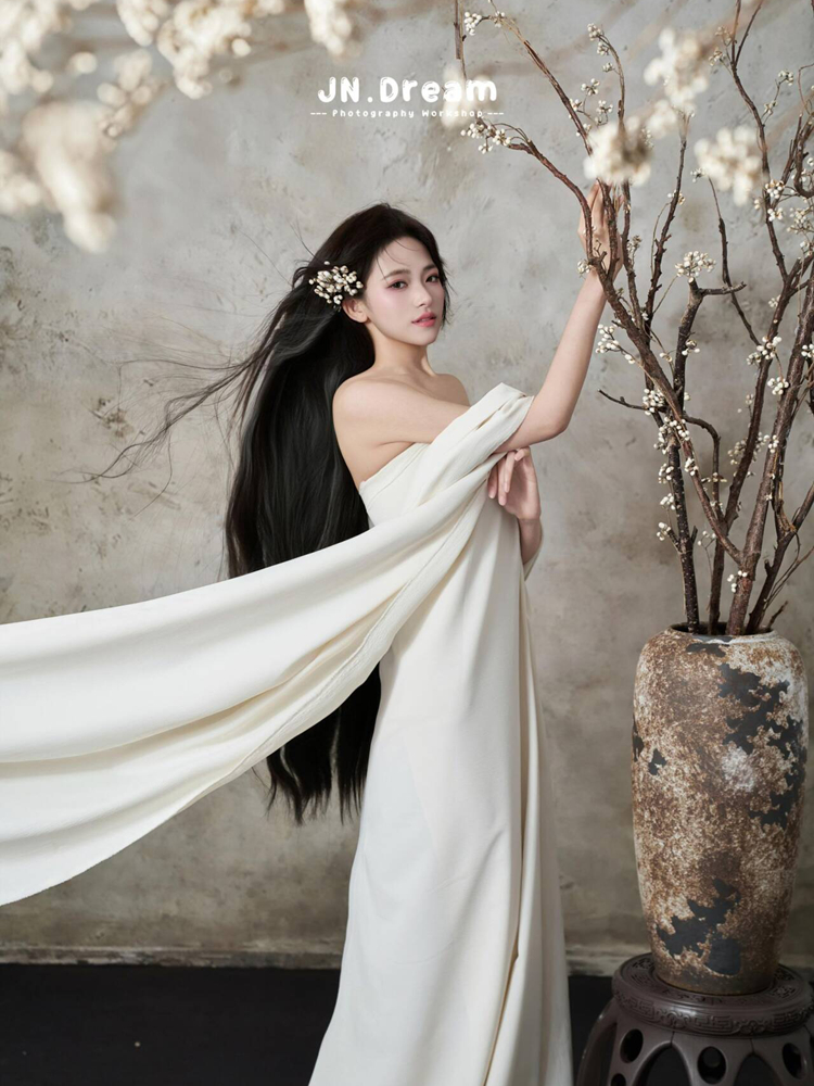 2026 New Zen Chinese Style Por - Photography Zen のレビューと価格