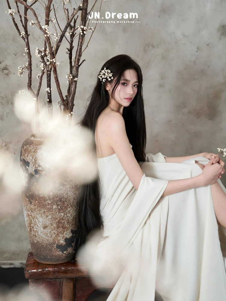 2026 New Zen Chinese Style Por - Photography Zen のレビューと価格