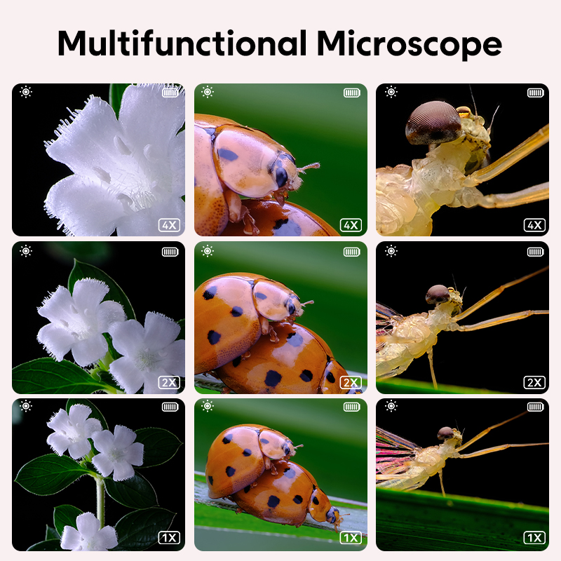 Mini Kids Optical Microscope W - Photography History のレビューと価格
